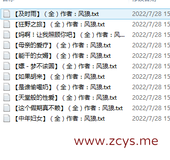 【自打包】小说贴-风狼作品合集（11本）