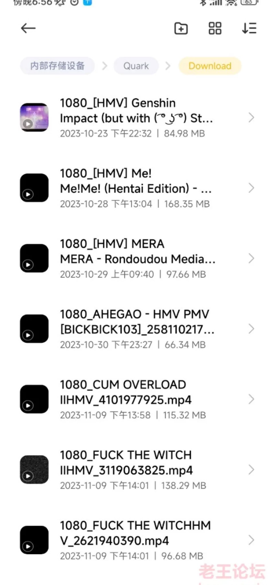[其他] [转载搬运] 自用hmv合集，社保 [20v+2.29g][百度盘]