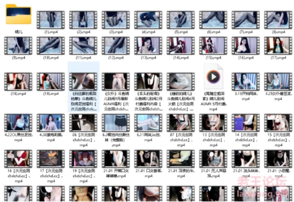 [合集] [自行打包] 婉儿别闹asmr一个大合集 [204V+33.2G][百度盘]