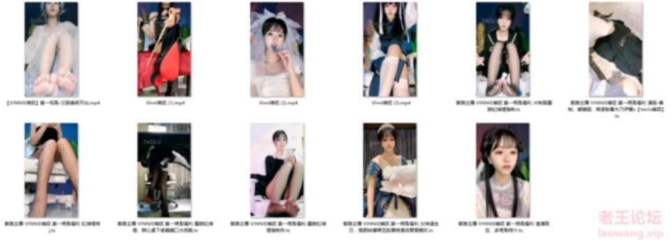 [已失效][自行打包] Vinni维妮11V大合集 [11V+6.33GB][百度盘]