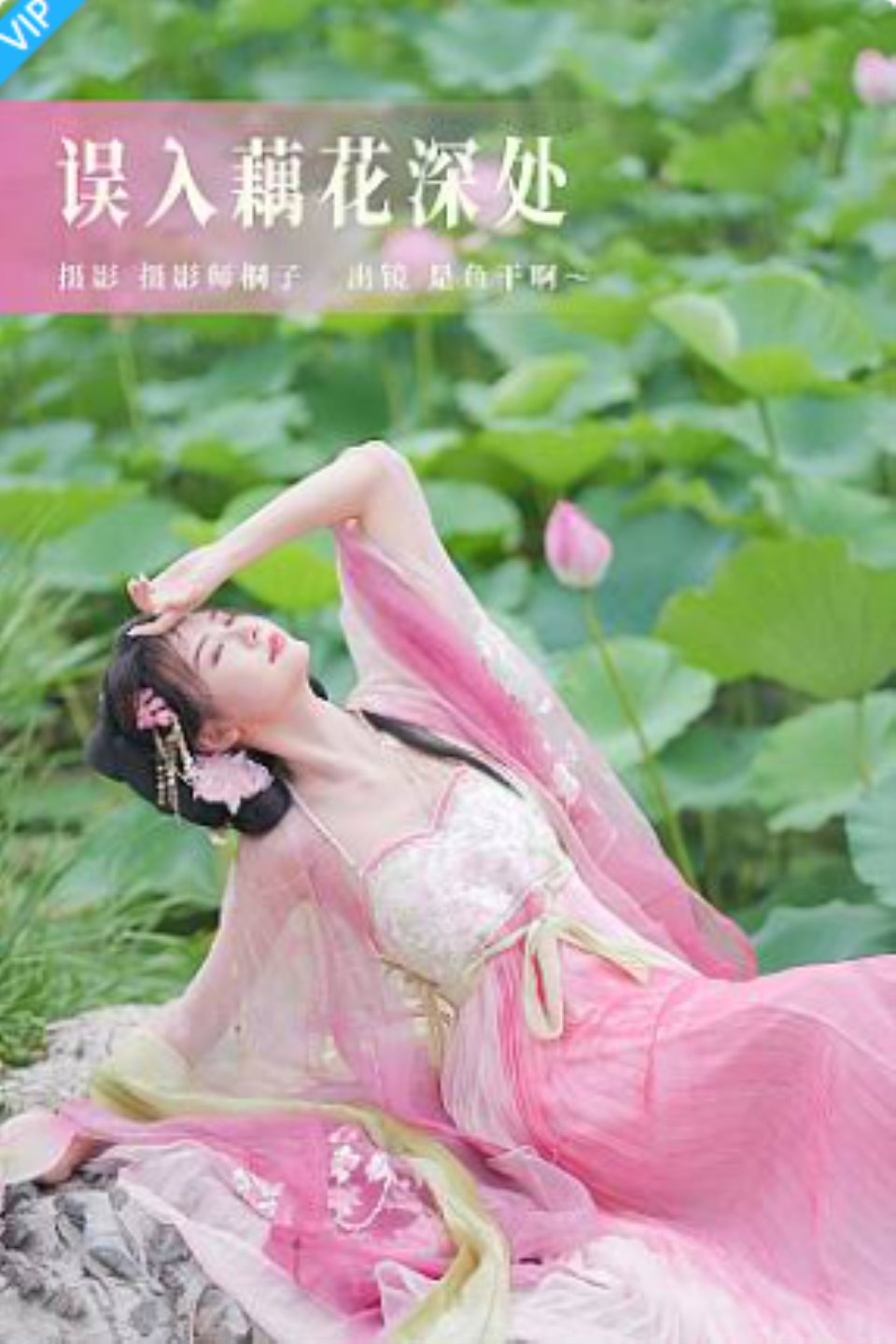 [YITUYU藝圖語]2023.07.21 誤入藕花深處 是魚幹啊～