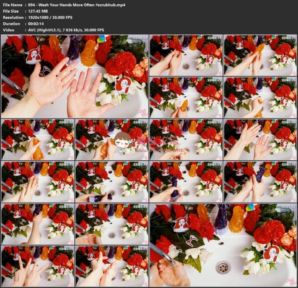 [已失效]【搬运】MollyRedWolf MollyRedWolf【整合版百度云104V164.9G】永久