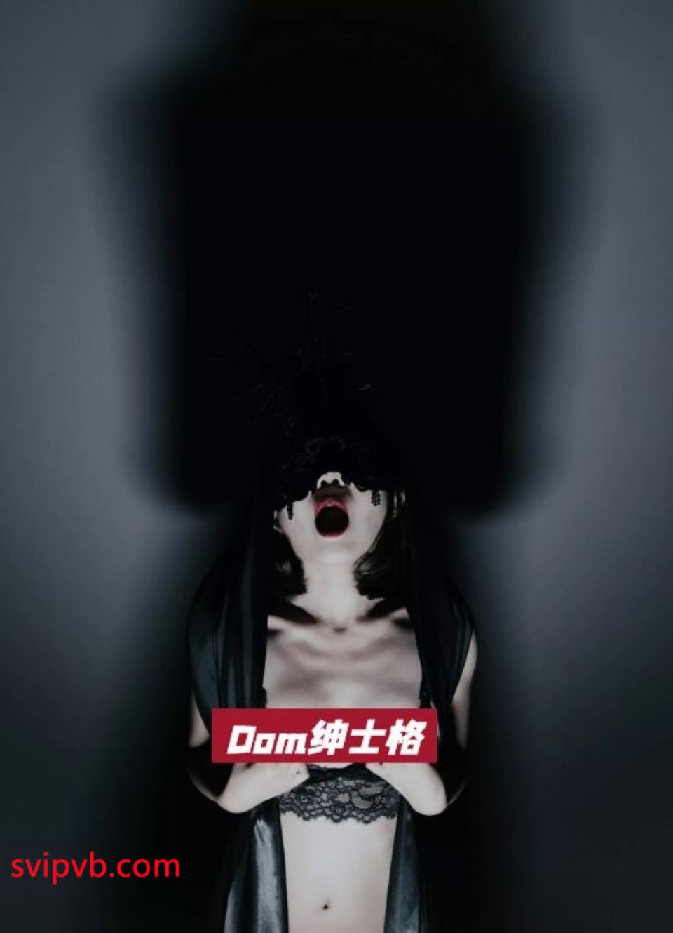 [已失效]推特SM圈大神『绅士格』 1.33G 30天有效 30天过后不补