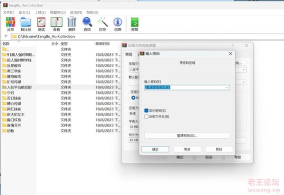 [其他] [自行打包] 唐伯虎160g合集 [nvnp+160g][百度盘]