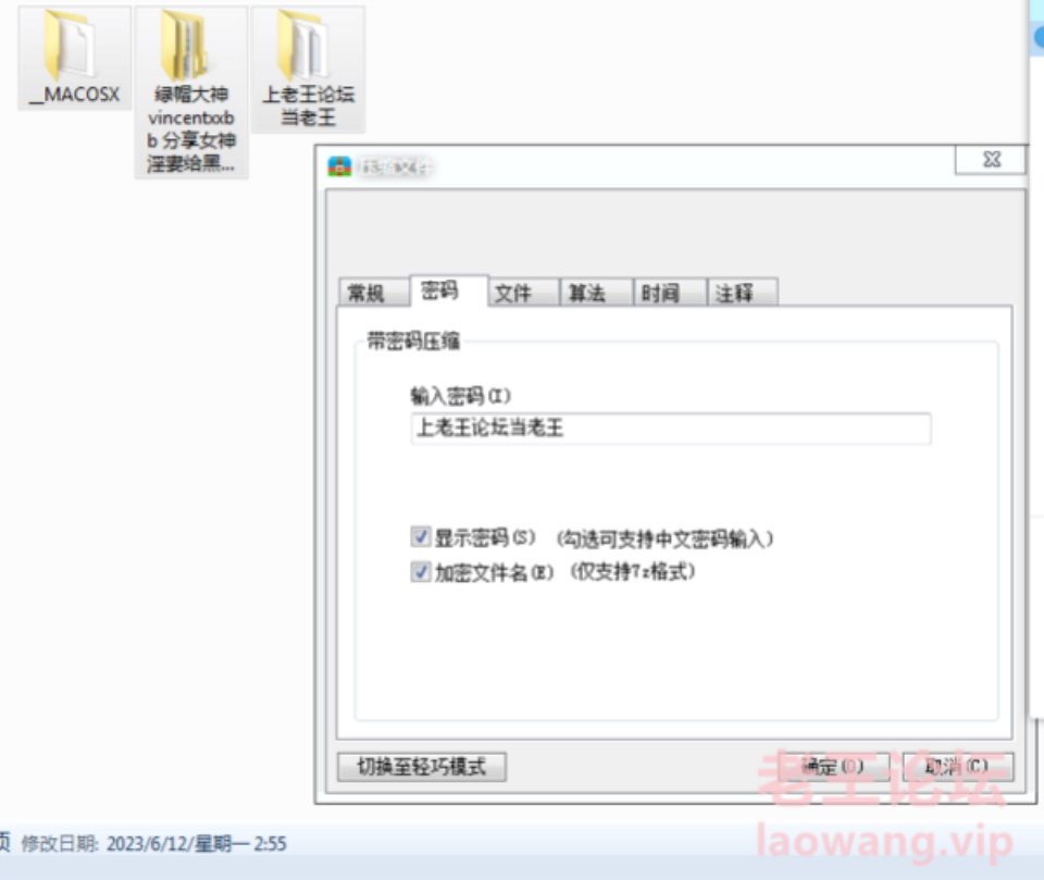[已失效][自行打包] 绿帽大神 vincentxxbb 分享女神淫妻给黑人 度盘+秒传 [10v24p+2.3g][多种下载方式]