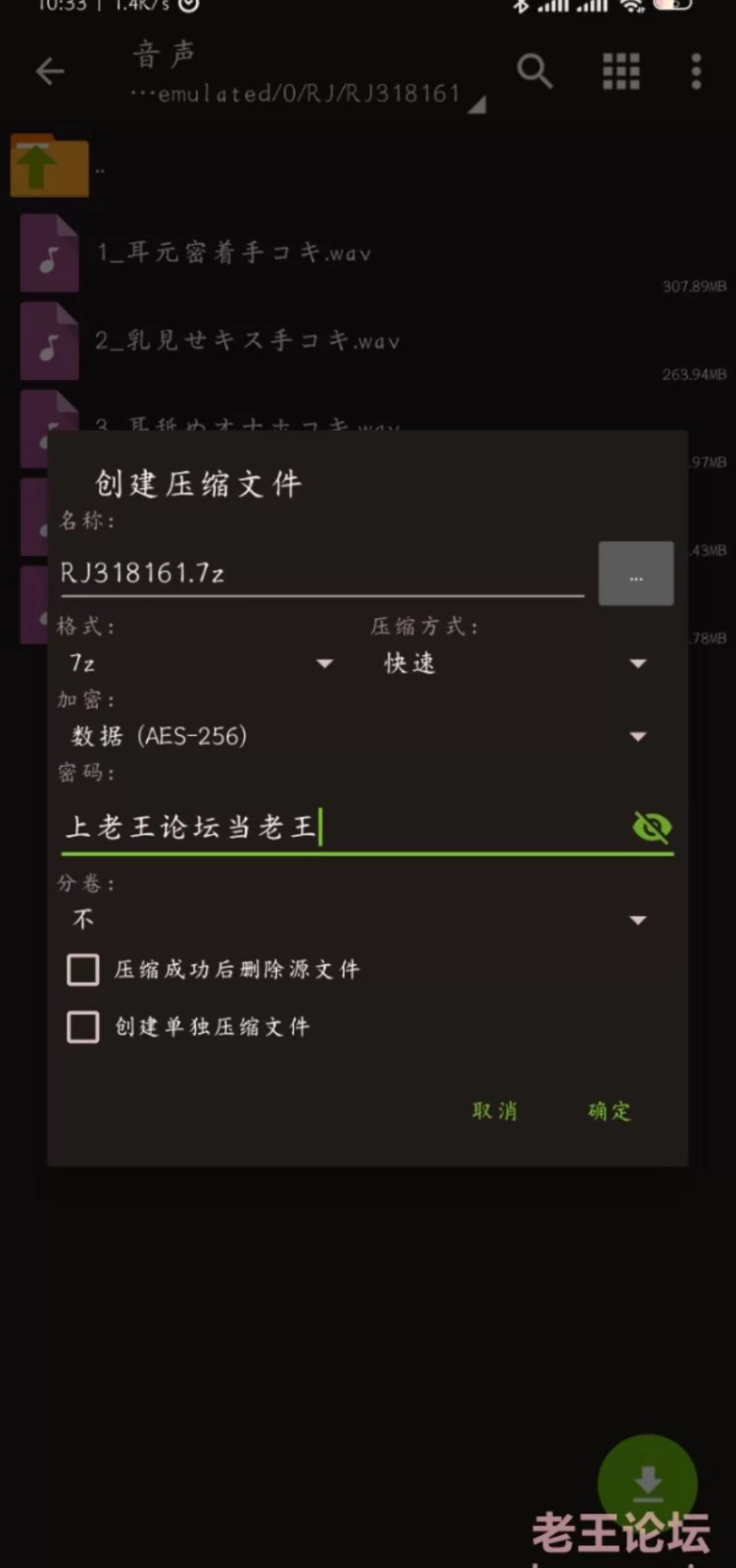 [ASMR] [自行打包] 僕を嫌いな低音ダウナー秘書の嫌々性処理業務 ～社長室手コキから中出し出張～ [5+917][百度盘]