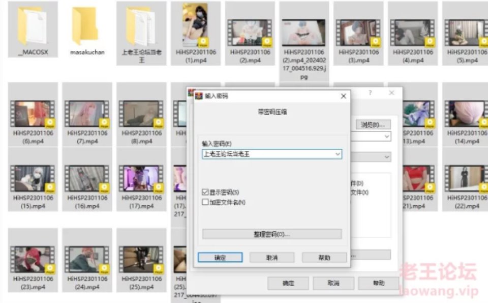 [Cosplay] [自行打包] onlyfans福利姬【masakuchan】COS做爱合集 [28V+11G][百度盘]