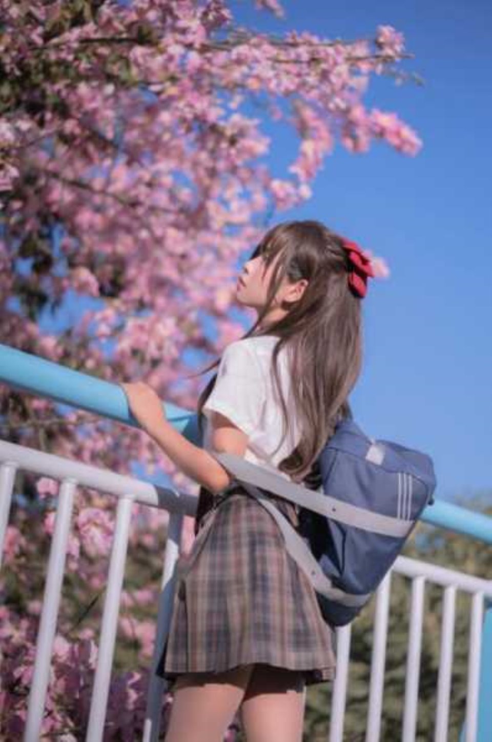 萌芽儿o0  异木棉花 27P-436M 【百度云】
