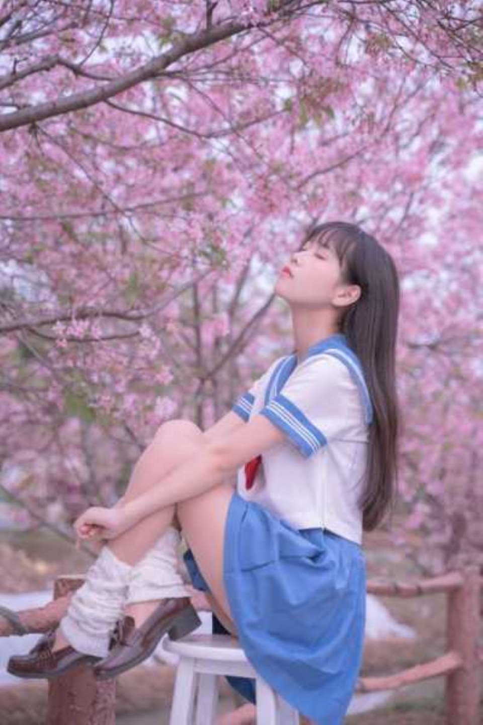 [女大学生] [全部套图] 萌芽儿o0  樱花jk 31P-426M 【百度云】