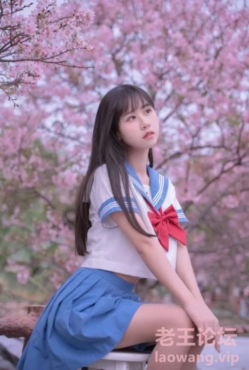 [国产coser] [转载搬运] 萌芽儿o0  樱花jk 31P-426M 【百度云】 [31P+426M][百度盘]