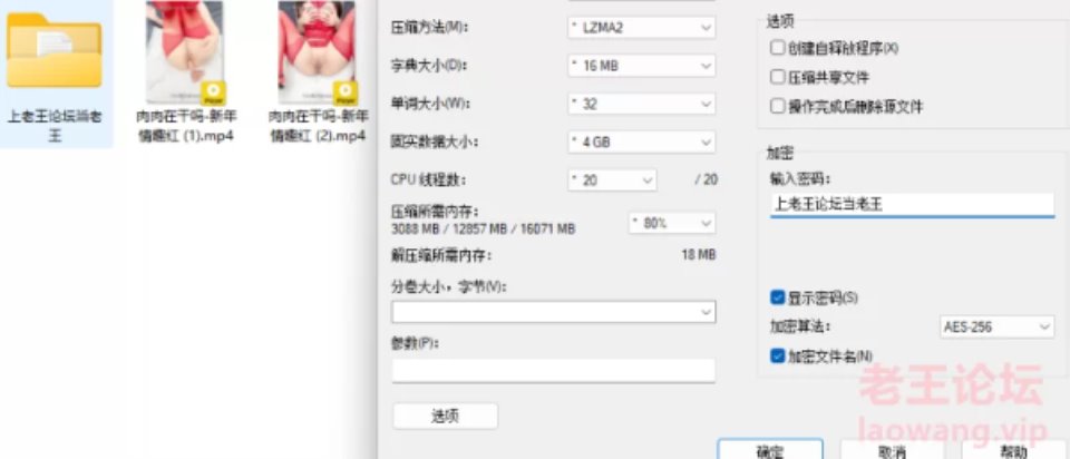 [福利姬] [自行打包] 肉肉在干吗-新年情趣红 [2V+1028M][百度盘]