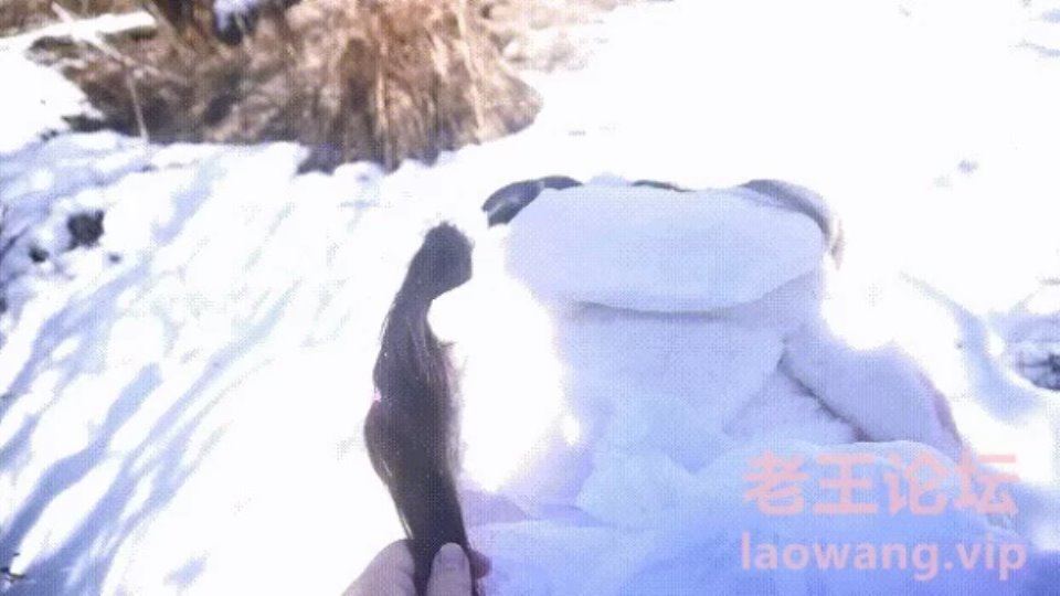[福利姬] [转载搬运] 喵喵酱 卡哇伊清纯系小萝莉 卡通装户外露出口交啪啪内射 边玩边做 人形小母狗 [1v+625mb][磁力链接]