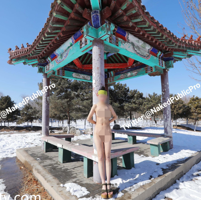 推特女神-NakedPublicPro-雪地露出挑战（36P,2V,181M）