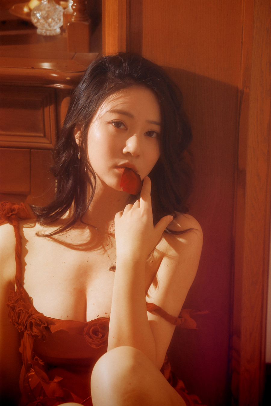 年年-落日蔷薇[30P]