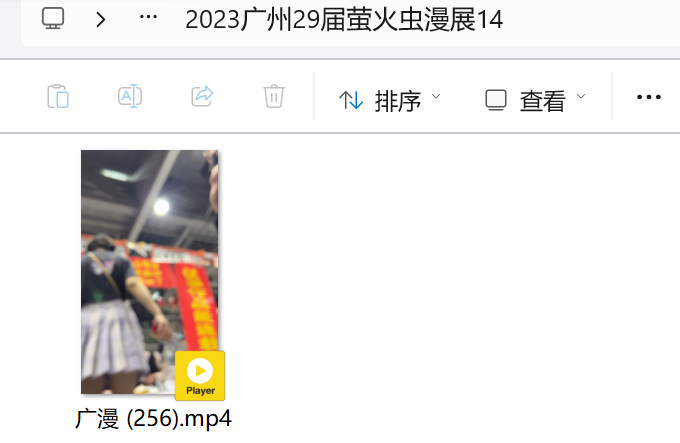 2023广州29届萤火虫漫展14【2.4G】-资源巴士