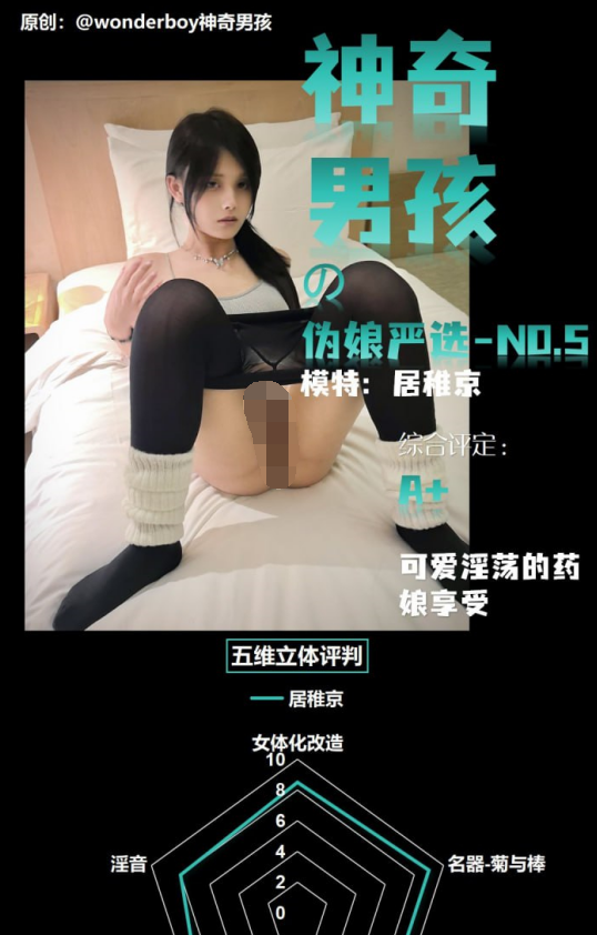 另类-海归精英 wonderboy-约啪各种精品ts高价福利（12P,810M）