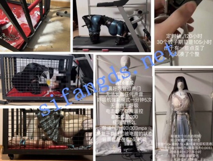 国产cc极限郊狼电击放置⭐炮击 导尿 高潮控制 排泄控制[1G]