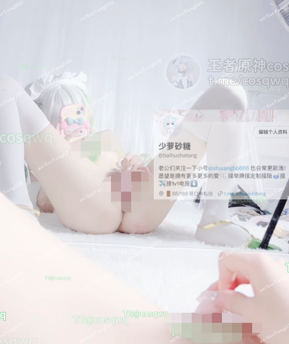 福利姬-小池理奈（奈酱，砂糖）-新 女仆小草神（1V,1.01G）