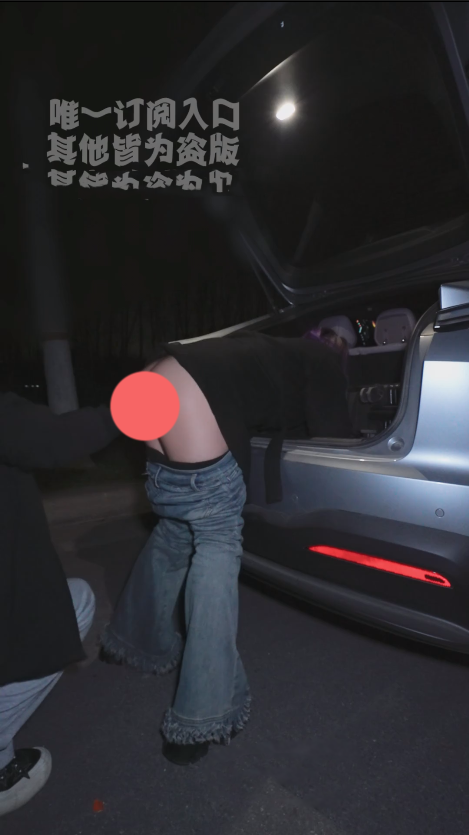 【新】小狗pro-260121 车载加热器【1V】【286MB百度云】